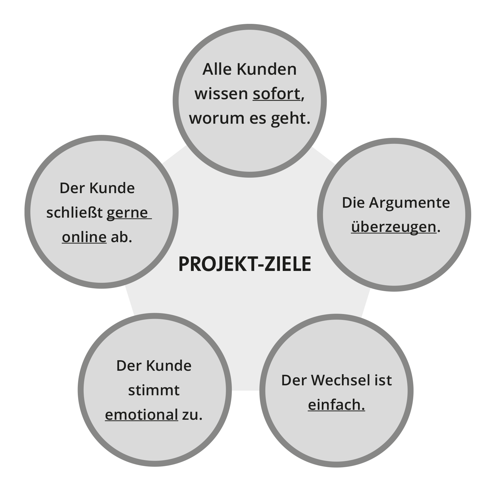 Projektziele